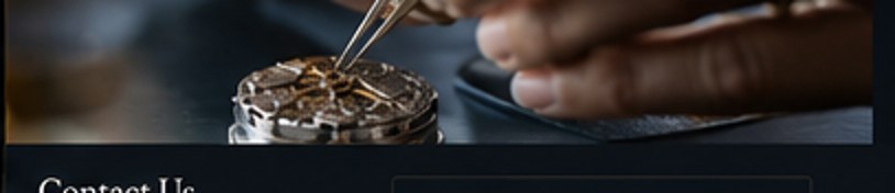 Watch repair detail
